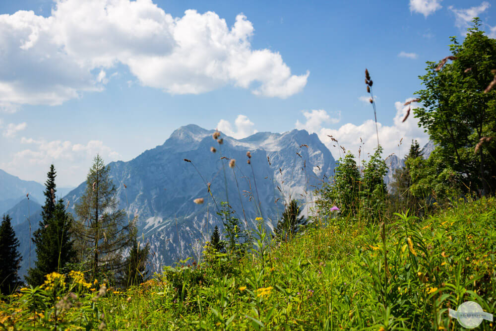 Blick auf großen Buchstein