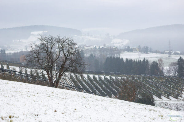 Winterlandschaft in Graz