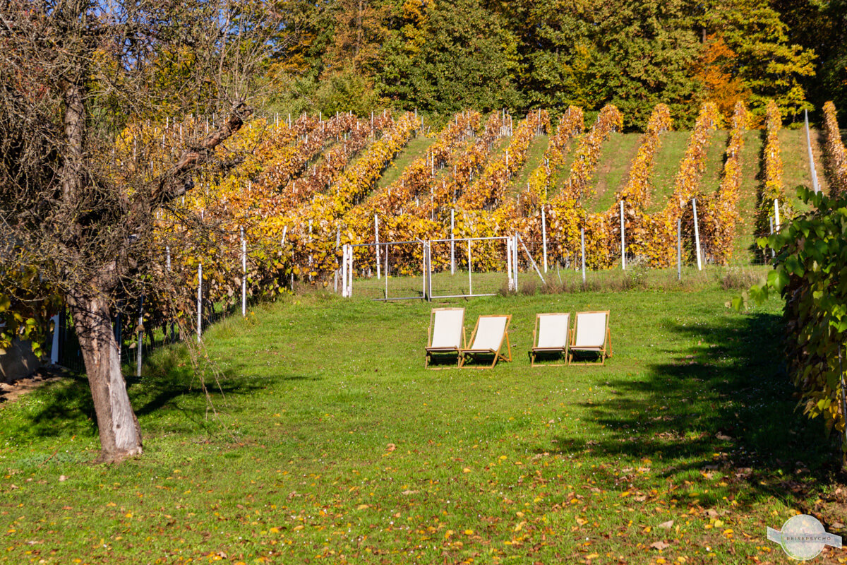 Vier gemütliche Gartensessel im Weingarten