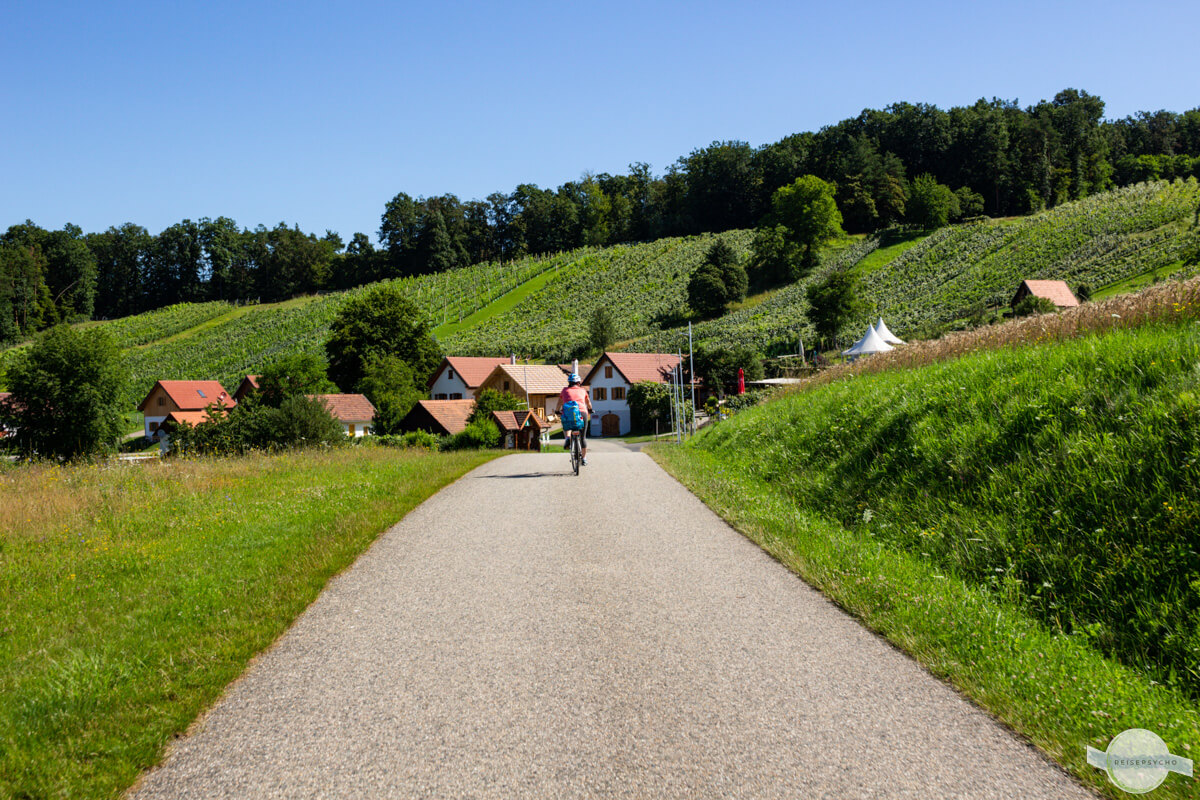 Radfahren im Südburgenland - mit Rad auf Straße ins Uhudlerviertel