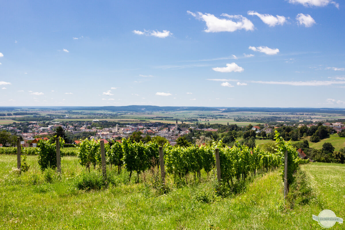Am Weinberg von Rechnitz