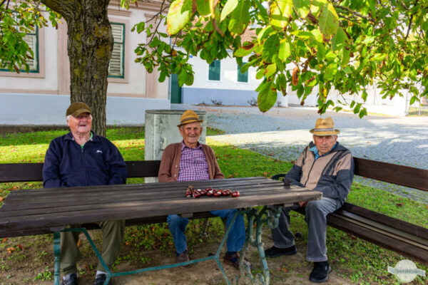 Bankerlsitzer: alte Männer die unterm Baum auf der Bank sitzen