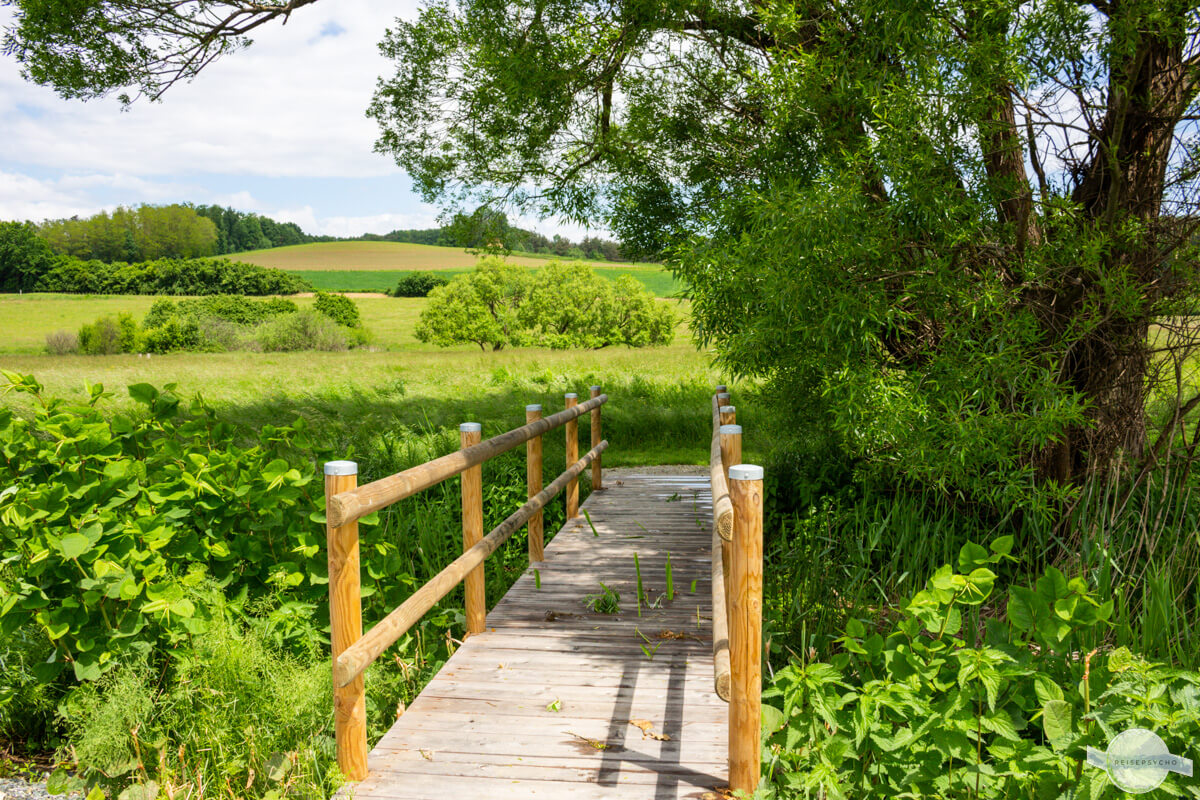 Rundweg durch das Moor in Rohr