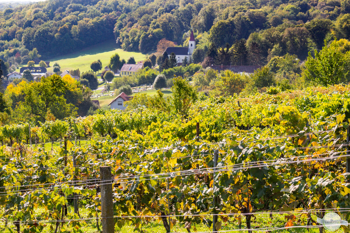 Weingarten Heiligenbrunn im Herbst