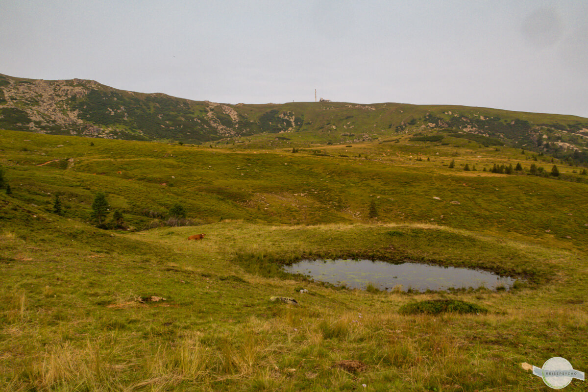 Wasserstelle im Kar auf dem Weg zum Großen Speikkogel