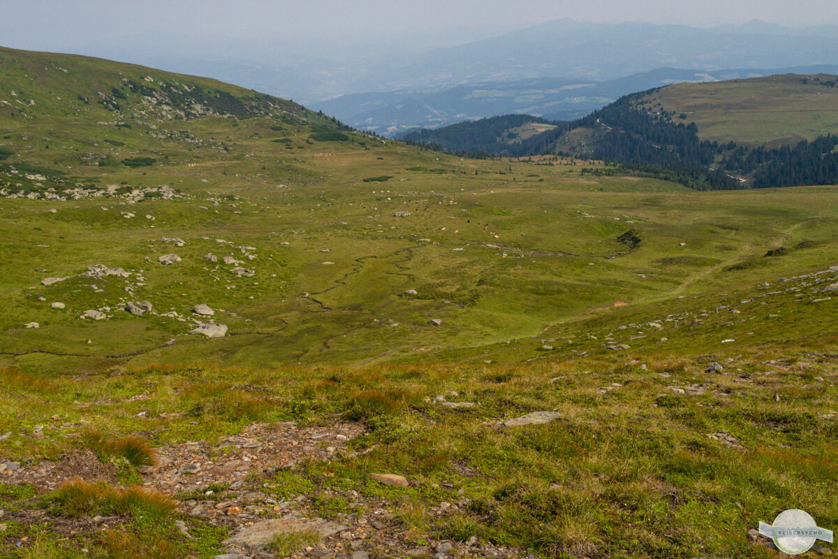 Blick auf das Kar unterhalb des Großen Speikkogels