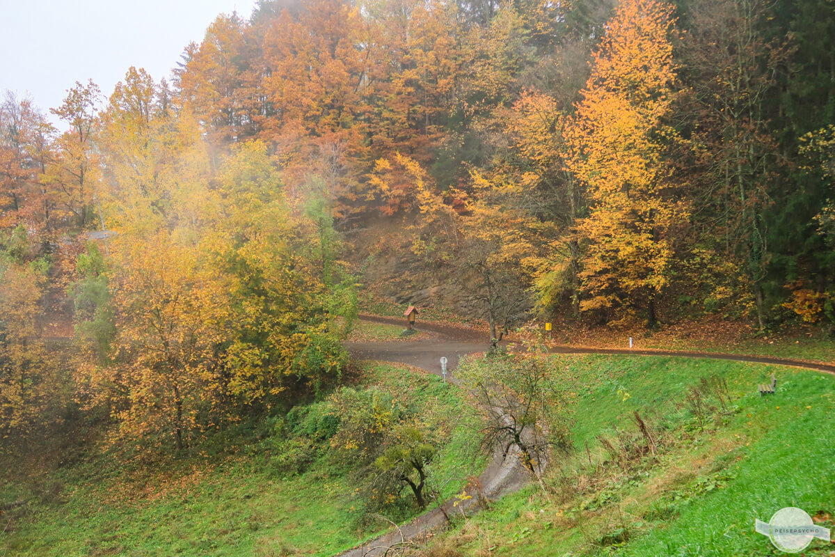 Nebliges Herbstwetter als Metapher fürs Heimkommen