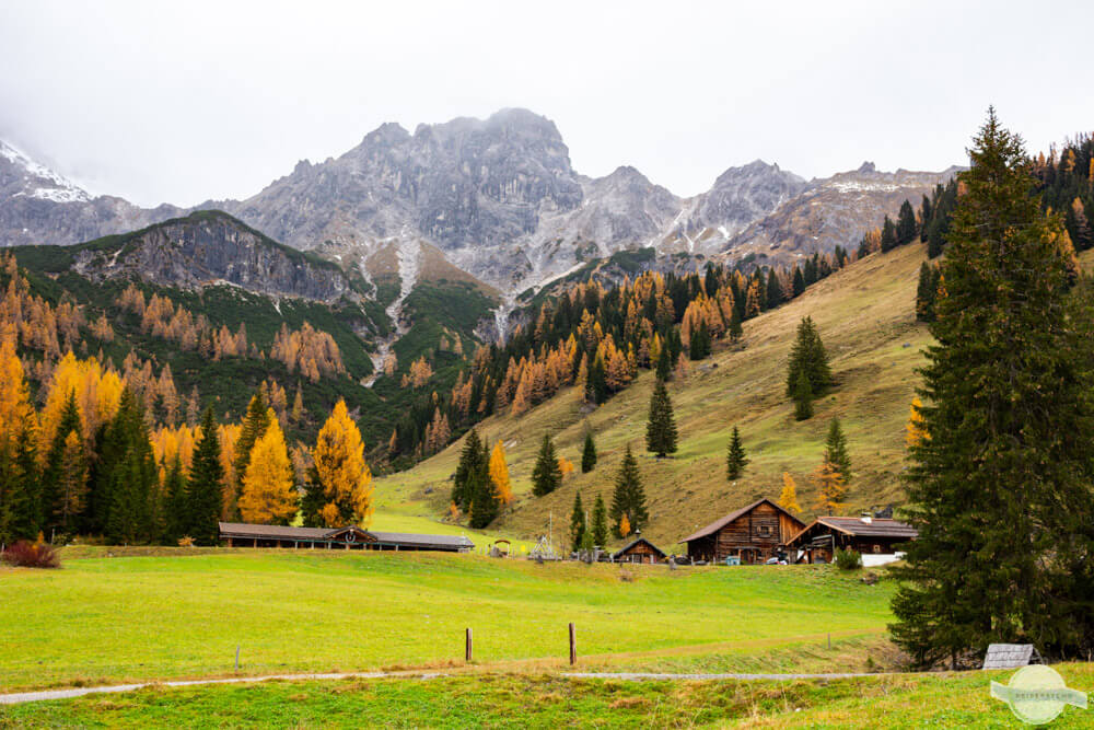 Herbstlandschaft: bunte Lärchen, grüne Tannen, Nebel und Berge