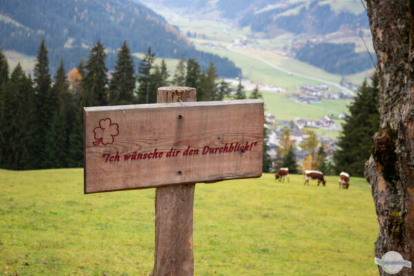 Schild am Weg der guten Wünsche: "Ich wünsche dir den Durchblick", im Hintergrund Alm mit Kühen und Blick ins Tal