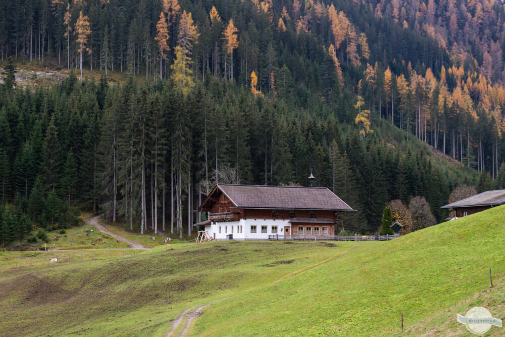 Gasthoft Sattelbauer: Berggasthof umringt von Wald