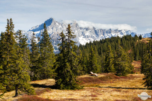 Rossbrand Gipfelrunde: viel Ausblick auf die Berge, Wald und Wiesen