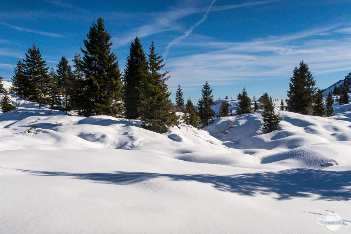 Winterlandschaft: dicke Schneedecke und Tannen