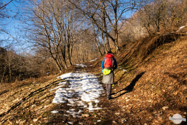 Am Wanderweg zu den Stavoli di Orias, nur mehr wenig Schnee am Weg