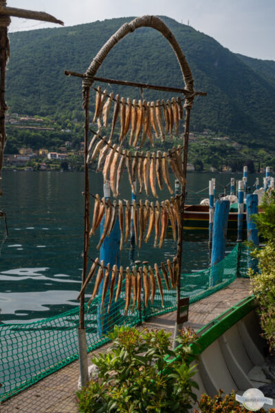 Markenzeichen der Monte Isola: getrocknete Sardinen am Gestell