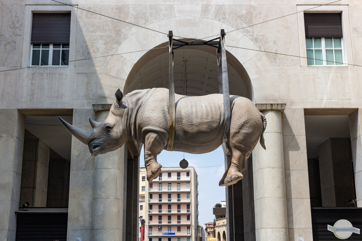 Hängendes Nashorn in Brescia