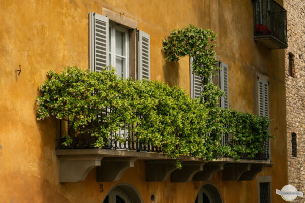 Wunderschönes Bergamo: mit Pflanzen vollbewachsener Balkon