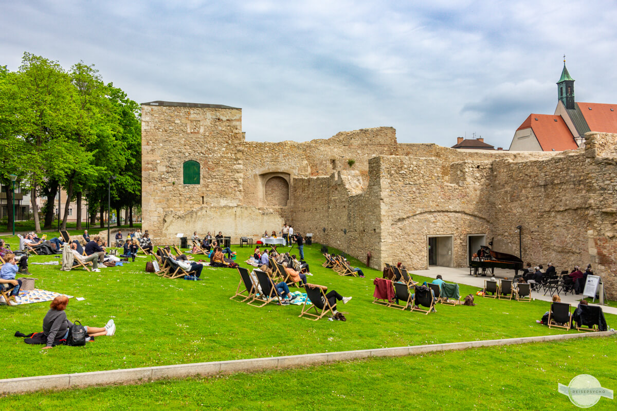 Silent Concert auf der Wiese in Wiener Neustadt