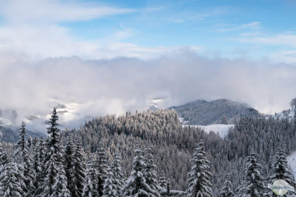 Aufsteigender Nebel im Winter am Berg