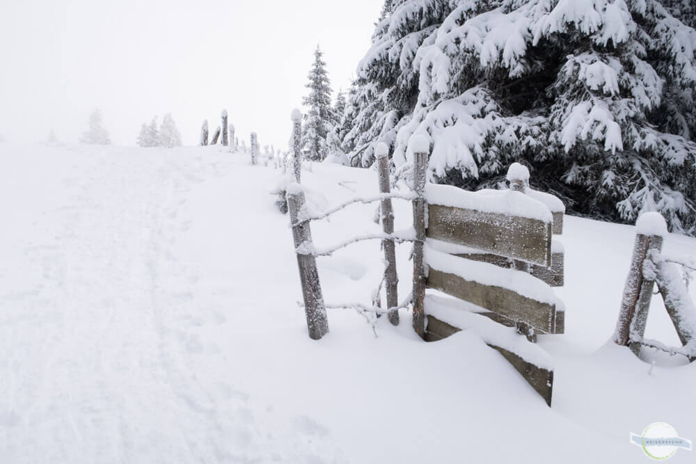 Sommeralm im Winter: eingeschneite Weidezäune