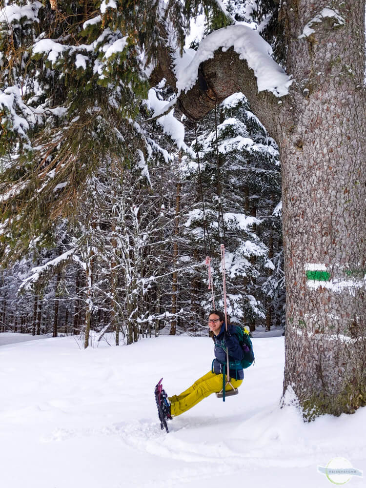 Schaukel im Schnee an einer großen Tanne befestigt