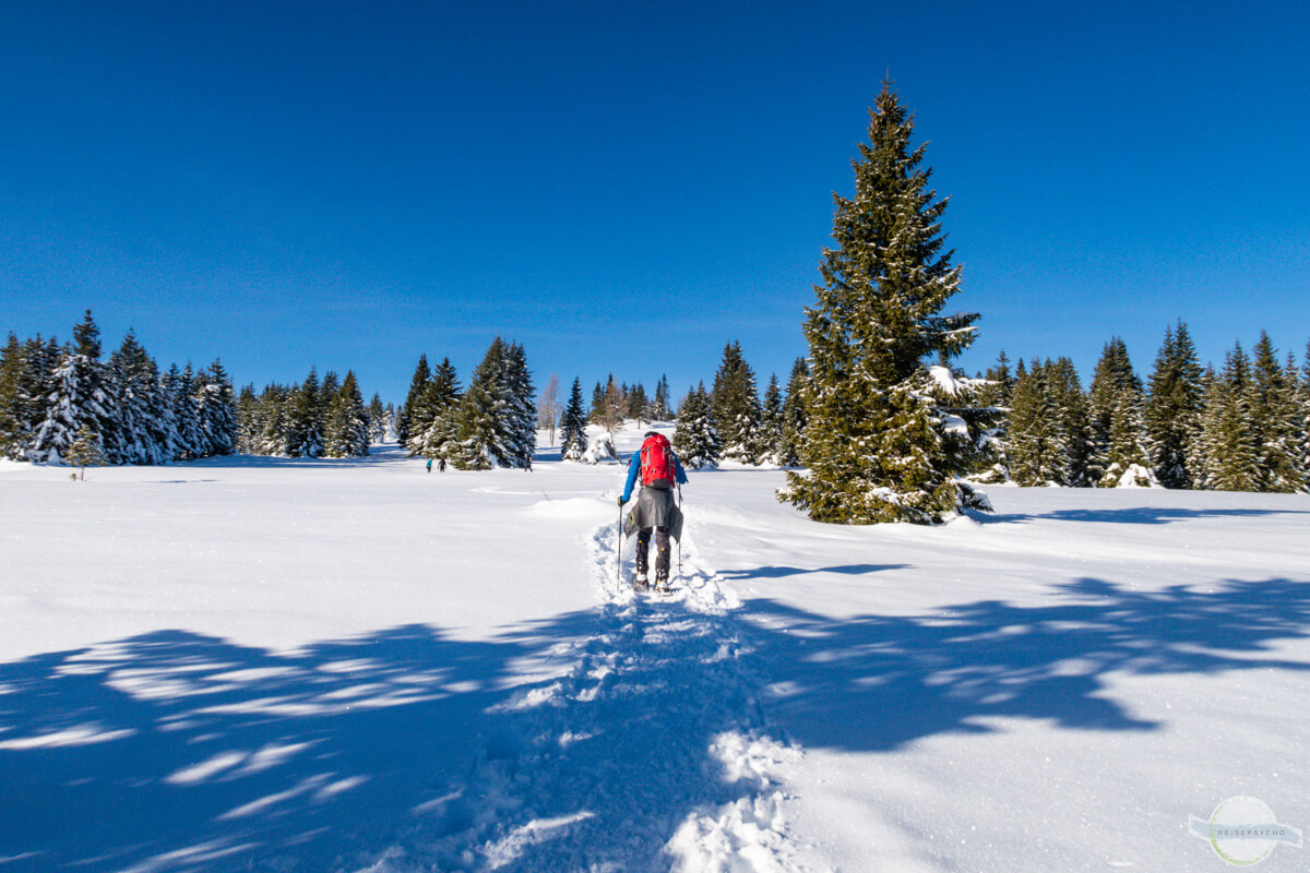 Hebalm Bärofen Winterwanderung