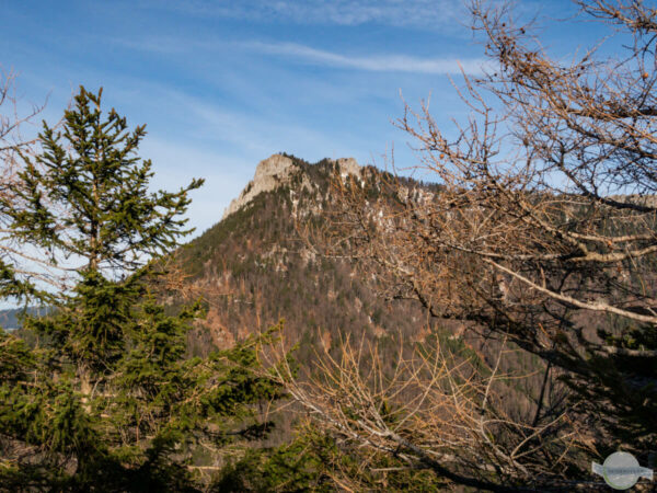 Berg Schober zwischen den Ästen von Bäumen fotografiert