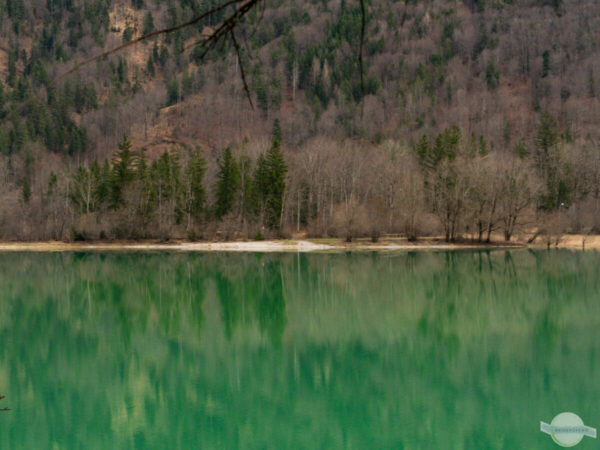 Grünes Wasser, dahinter Wald am Hintersee