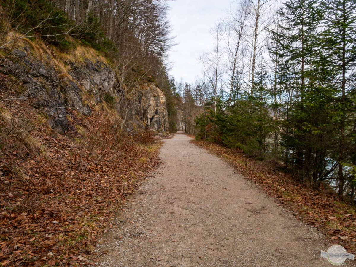 Der Rundweg um den Hintersee