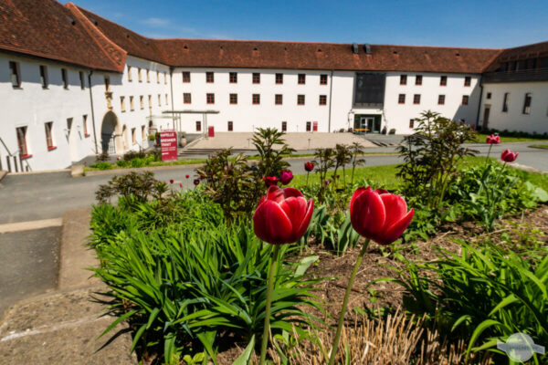 Schloss Seggau Innenhof mit Blumen