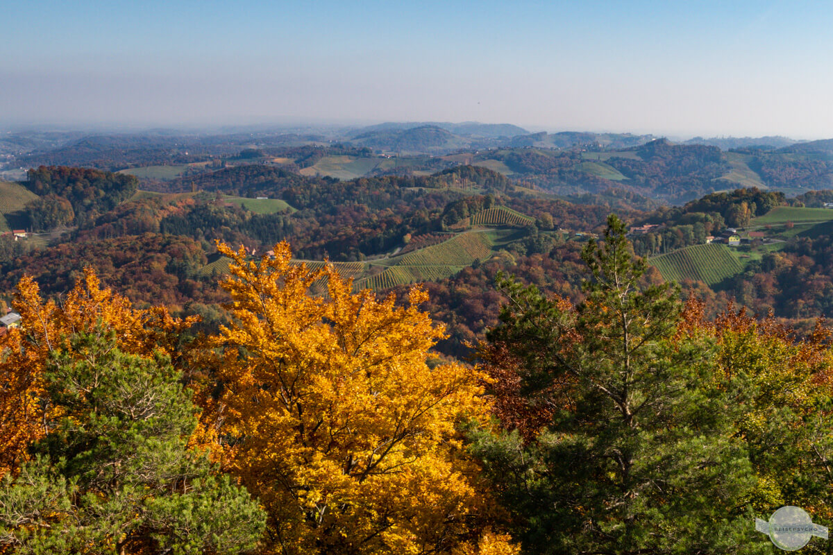 Ausblick auf die Hügel der Südsteiermark