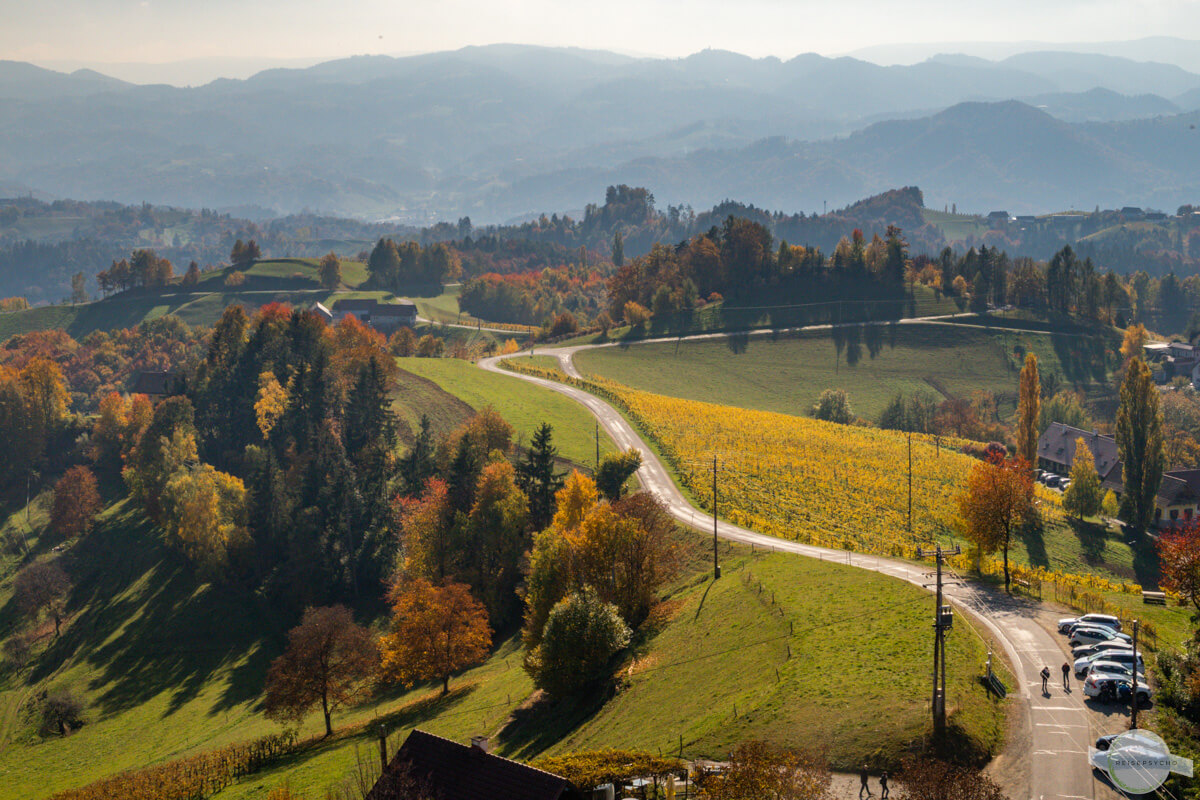 Ausblick von der Kreuzbergwarte