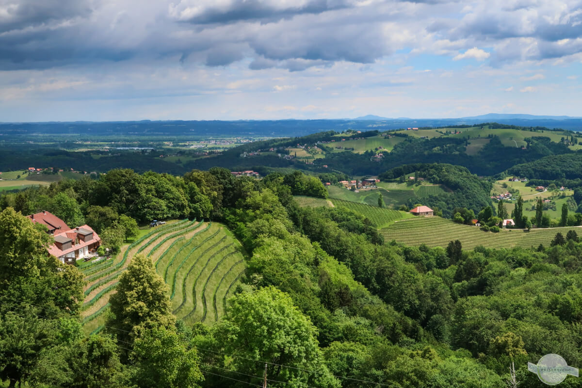 Ausblick über die Weinberge der Südsteiermark