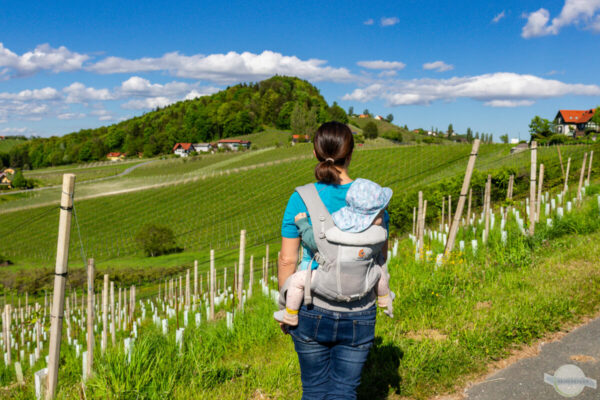 Weinwanderweg Südsteiermark mit Baby