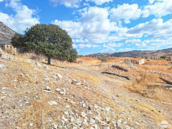 Foinikas Lost Place: Weg in das verlassene Dorf