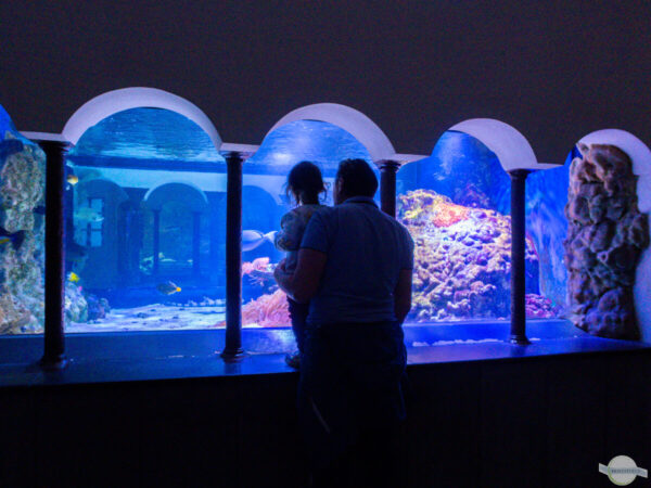Neapel mit Kleinkind: Das Aquarium ist ein Highlight