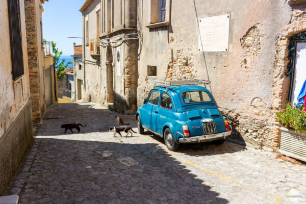 Kalabrien Rundreise: Katzen und altes Auto in Bergdorf