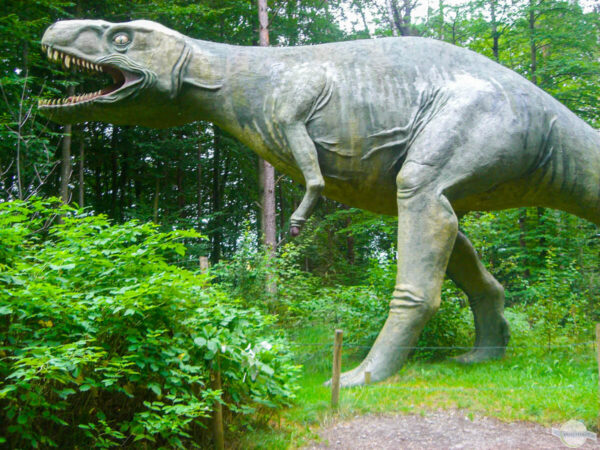 T-Rex im Styrassic Park Bad Gleichenberg